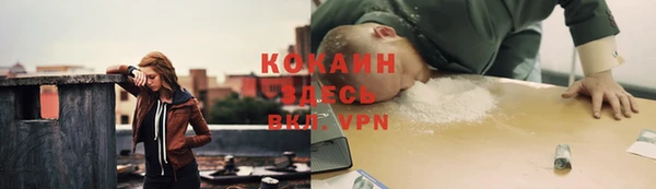 spice Алексин