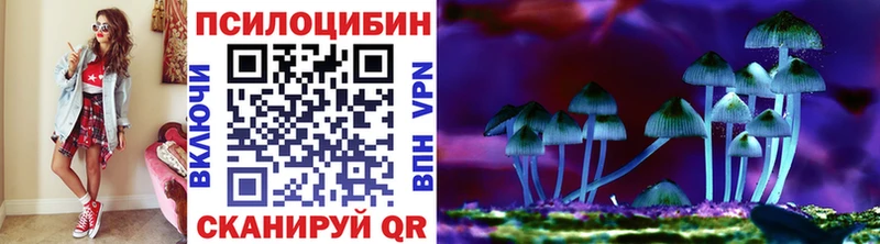 Псилоцибиновые грибы Psilocybine cubensis  Краснозаводск 